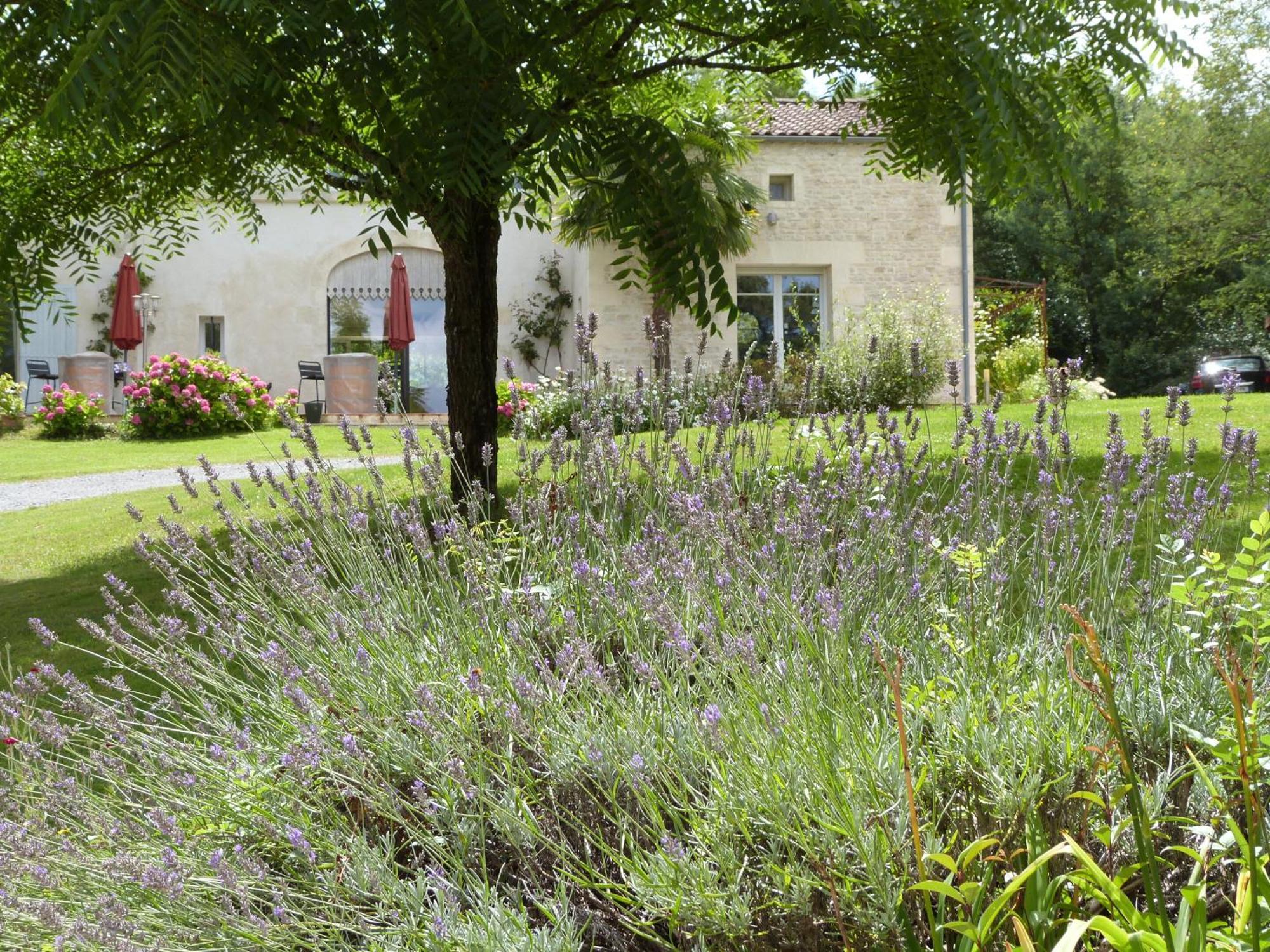 Le Logis De La Brumanderie - Saintes Fontcouverte  Dış mekan fotoğraf